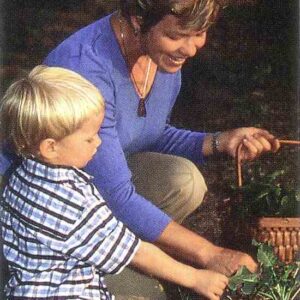 10 Easy Garden Plants Image